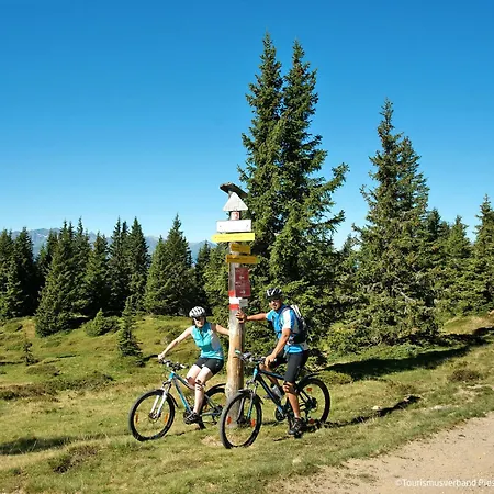 Alpin-2 By Interhome Prázdninový dům